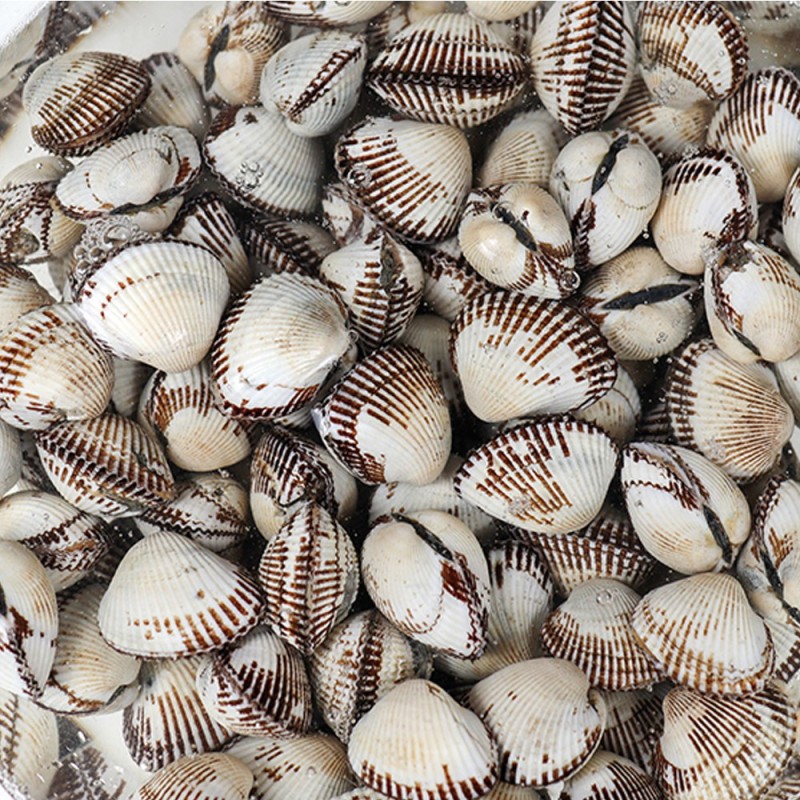 새꼬막 왕대 1kg 60-70미